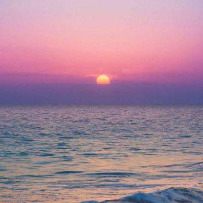 bet韦德官方网站