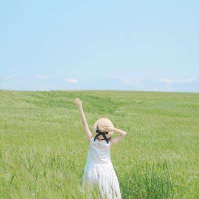 半岛网页版下载手机版截图