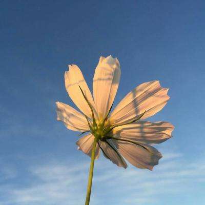 pg棋牌软件平台官方版下载