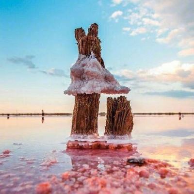 英雄联盟外围平台网址