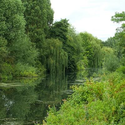 海星体育app下载ios